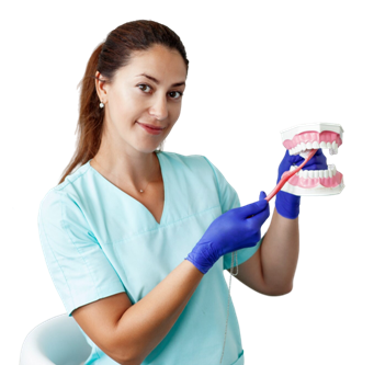 Dentist